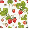 Paw Cocktail Napkins