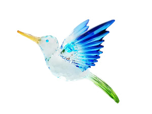 Long Tail Hummingbird