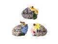 Nature Garden Rock