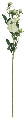 Artifical Rose Stem White 73.5cm