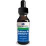 Sanderson Echinecea Elderberry 30ml