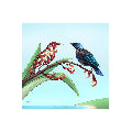Sophie Blokker Tile Square Mirror Tui