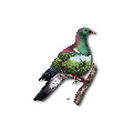 Sophie Blokker Tile 3D Wood Pigeon