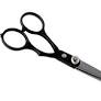 Simply Essential 20-2504 Hair Cutting Scissors