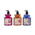 ACCENTRA Essential Botanics Hand Soap 500ml
