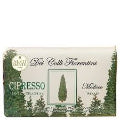 Nesti Dante Soap Dei Colli Cypress 250g