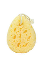 Simply Essential 20-1004 Luxe Bath Sponge