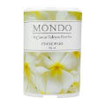 Mini Talcum Powder Frangipani 60g