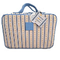 Tender Love + Carry T-160 STRIPE Blue Daisy Hang Wash Bag