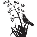 NZ Native Bird Tui 60cm Wall Art