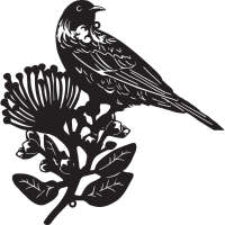 Metal Wall Art Tui On Pohutukawa 50cm