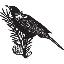 Metal Wall Art Tui On Pine Cone 50cm