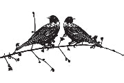 Metal Wall Art Tui Pair on Branch 60cm